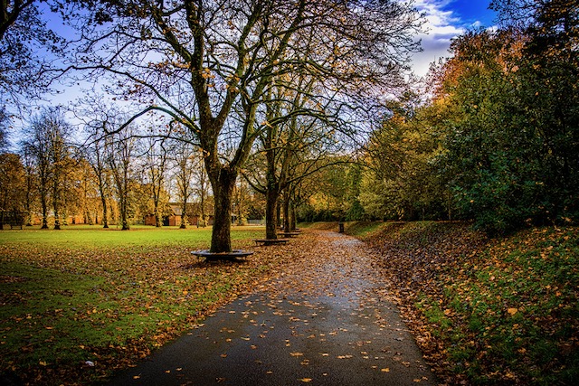 A public park