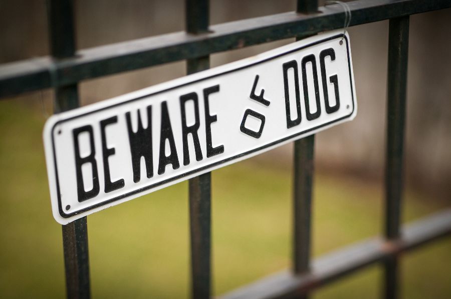 Beware of the dog sign