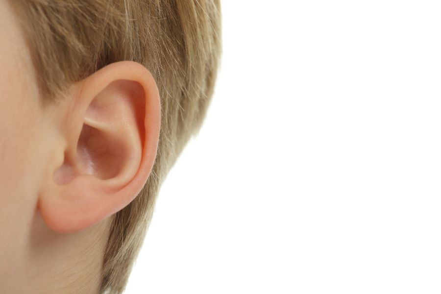 An ear