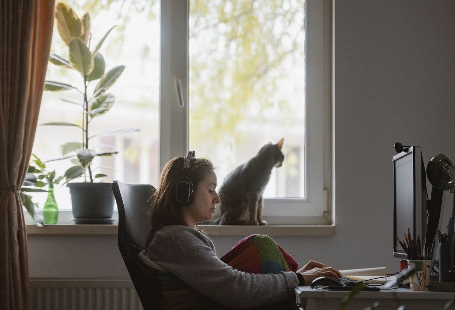 A woman working from home, with a cat next to her