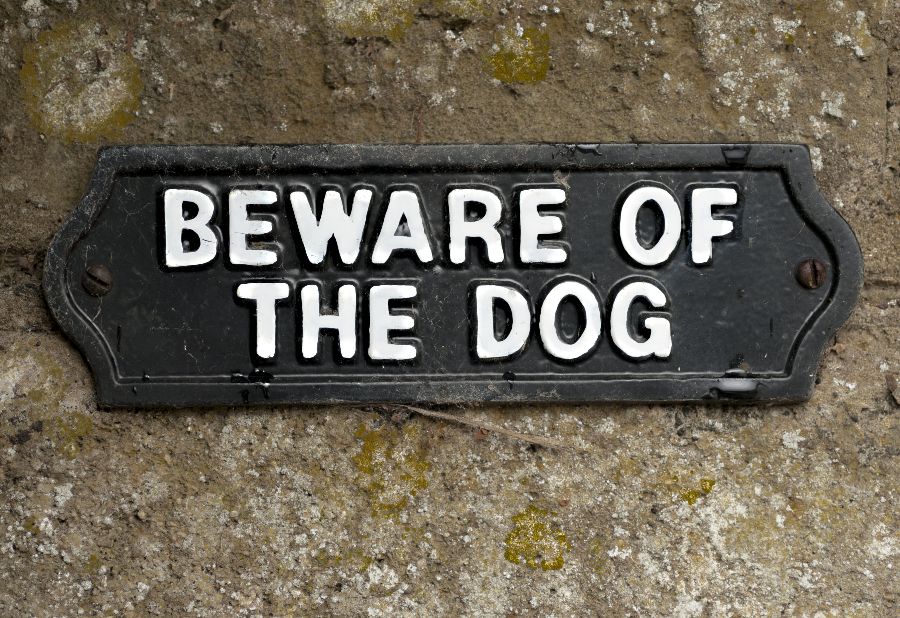 Beware of the Dog sign