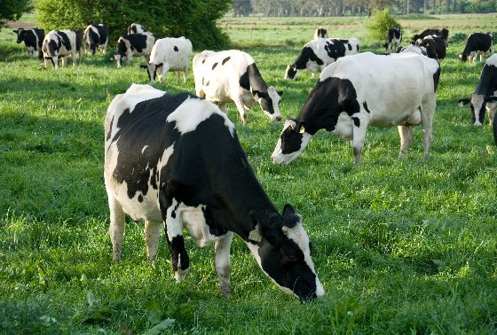 Safety in the farming industry